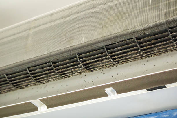 Best Affordable Duct Cleaning Services  in Carlton, OR